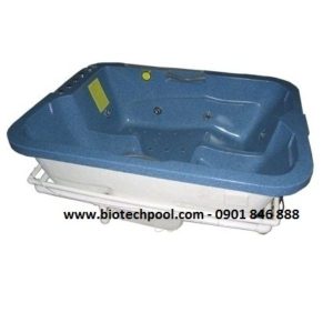 Bồn jacuzzi spa hottub 05