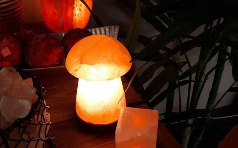 Hướng dẫn sử dụng đèn đúng cách Một số kinh nghiệm lựa chọn và mua đèn đá muối chất lượng