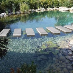 Đặc điểm nổi bật của hồ bơi sinh thái