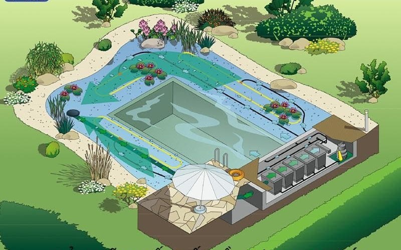 Đặc điểm nổi bật của hồ bơi sinh thái Đặc điểm nổi bật của hồ bơi sinh thái