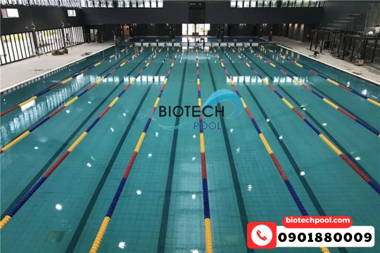 ho boi tieu chuan olympic 38807