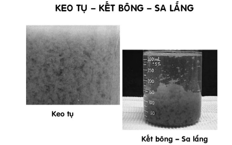 Hóa chất PAM nổi bật với khả năng kết tụ nhanh Hóa chất PAM nổi bật với khả năng kết tụ nhanh