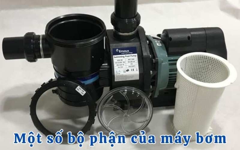 Tìm hiểu cấu tạo cơ bản của máy bơm hồ bơi Tìm hiểu cấu tạo cơ bản của máy bơm hồ bơi