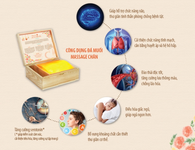 Tìm hiểu công dụng của hộp đá muối massage chân