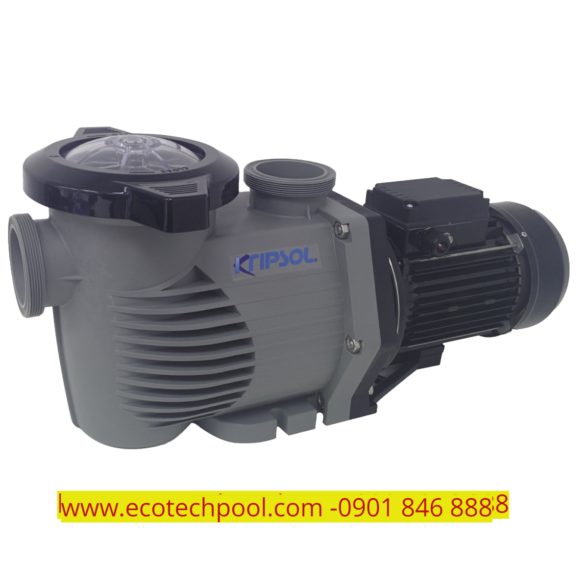 MÁY bƠM HỒ BƠI PRIME KPR 3 HP, 1 PHA dia-chi-chuyen-cung-cap-may-bom-ho-boi, don-vi-phan-phoi-may-bom-ho-boi-chinh-hang, chuyen-phan-phoi-may-bom-ho-boi-tai-TPHCM,  noi-ban-may-bom-ho-boi, tu-van-lap-dat-may-bom-ho-boi, noi-ban-may-bom-nuoc-ho-boi-tai-TPHCM, don-vi-chuyen-thi-cong-lap-dat-may-bom-ho-boi,  dia-chi-ban-may-bom-ho-boi-uy-tin-tai-TPHCM, dia-chi-ban-may-bom-ho-boi-nhap-khau-chinh-hang, may-bom-ho-boi-gia-tot, bao-gia-may-bom-ho-boi,  thiet-bi-ho-boi, bao-gia-thiet-bi-ho-boi, công-ty-cung-cap-thiet-bi-ho-boi, dia-chi-cung-cap-thiet-bi-ho-boi-chinh-hang,