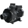 Máy bơm hồ bơi Waterco TurboFlo, 1 HP