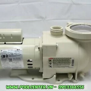 Alternative view of MÁY BƠM NƯỚC BỂ BƠI TỐC ĐỘ ĐƠN SUPERFLO 1 HP