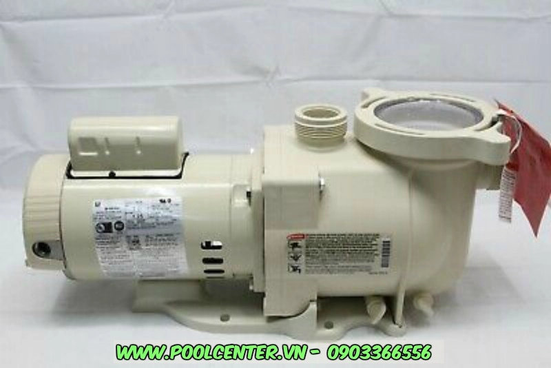 MÁY BƠM NƯỚC BỂ BƠI TỐC ĐỘ ĐƠN SUPERFLO 1 HP MÁY BƠM NƯỚC BỂ BƠI TỐC ĐỘ ĐƠN SUPERFLO 1 HP - Ảnh 2