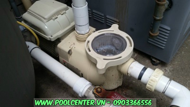 MÁY BƠM NƯỚC BỂ BƠI TỐC ĐỘ ĐƠN SUPERFLO 1 HP MÁY BƠM NƯỚC BỂ BƠI TỐC ĐỘ ĐƠN SUPERFLO 1 HP - Ảnh 3