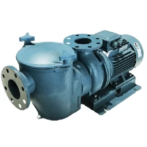 Máy bơm hồ bơi Emaux SE 7.5 HP
