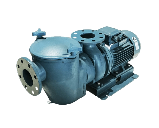 Máy bơm hồ bơi Emaux SE 7.5 HP Máy bơm hồ bơi Emaux SE 7.5 HP