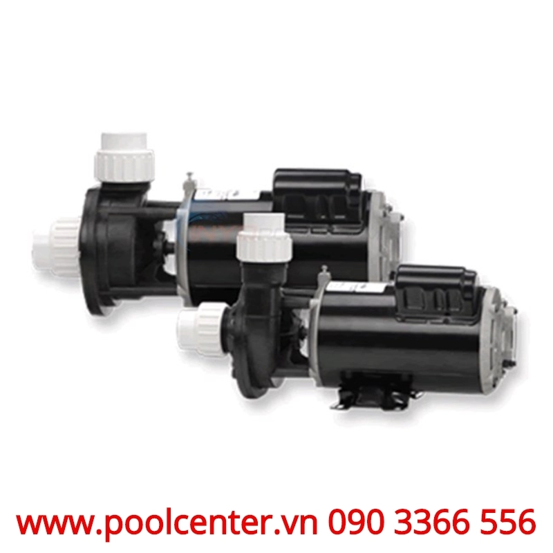 MÁY BƠM HỒ BƠI CHUYÊN NGHIỆP AQUAFLO GECKO 3/4 HP XẢ TRUNG TÂM MÁY BƠM HỒ BƠI CHUYÊN NGHIỆP AQUAFLO GECKO 3/4 HP XẢ TRUNG TÂM - Ảnh 2