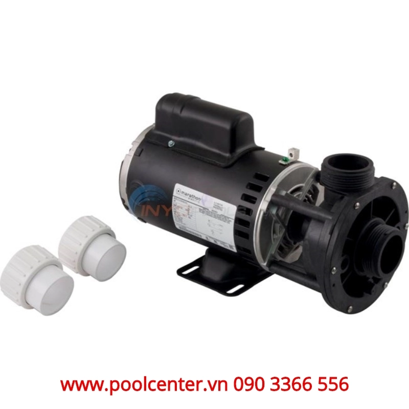 MÁY BƠM HỒ BƠI CHUYÊN NGHIỆP AQUAFLO GECKO 3/4 HP XẢ TRUNG TÂM MÁY BƠM HỒ BƠI CHUYÊN NGHIỆP AQUAFLO GECKO 3/4 HP XẢ TRUNG TÂM - Ảnh 3