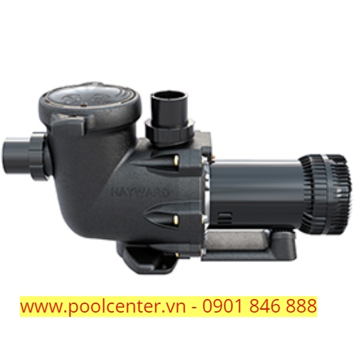Máy bơm hồ bơi Hayward TriStar XE 1.25HP dia-chi-chuyen-cung-cap-may-bom-ho-boi, don-vi-phan-phoi-may-bom-ho-boi-chinh-hang, chuyen-phan-phoi-may-bom-ho-boi-tai-TPHCM,  noi-ban-may-bom-ho-boi, tu-van-lap-dat-may-bom-ho-boi, noi-ban-may-bom-nuoc-ho-boi-tai-TPHCM, don-vi-chuyen-thi-cong-lap-dat-may-bom-ho-boi,  dia-chi-ban-may-bom-ho-boi-uy-tin-tai-TPHCM, dia-chi-ban-may-bom-ho-boi-nhap-khau-chinh-hang, may-bom-ho-boi-gia-tot, bao-gia-may-bom-ho-boi