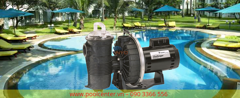 Nơi bán máy bơm nước hồ bơi cao cấp, Lắp đặt máy bơm hồ bơi giá rẻ, Phân phối máy bơm nước hồ bơi giá rẻ, Máy bơm nước hồ bơi nhập khẩu chính hãng, Đánh giá máy bơm hồ bơi cao cấp, Công ty kinh doanh máy bơm hồ bơi giá sỉ, Chỗ bán máy bơm nước hồ bơi cao cấp tại tp.hcm, Hướng dẫn lắp đặt máy bơm nước hồ bơi, Cách ráp máy bơm nước hồ bơi chính hãng, Giá sỉ máy bơm bể bơi ở hcm, Tư vấn hệ thống máy bơm nước hồ bơi cao cấp, Máy bơm nước hồ bơi nhà biệt thự, Hỗ trợ gắn máy bơm nước bể bơi tại nhà