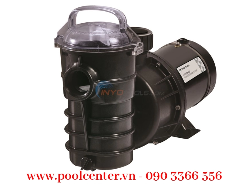 MÁY BƠM NƯỚC HỒ BƠI PENTAIR 3/4 HP NHẬP KHẨU MÁY BƠM NƯỚC HỒ BƠI PENTAIR 3/4 HP NHẬP KHẨU - Ảnh 2