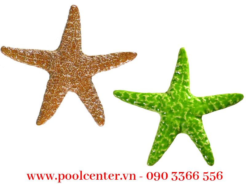GẠCH MOSAIC HỒ BƠI HÌNH SAO BIỂN gạch mosaic hồ bơi, gạch mosaic ốp thành hồ, gạch mosaic chống trơn trượt, gạch mosaic nghệ thuật, mosaic gốm, gạch mosaic thủy tinh, giá gạch mosaic nguyên tấm, gạch mosaic ceramic viên rời, đại lý gạch mosaic họa tiết caro, gạch crystal mosaic, giá gạch mosaic cao cấp, bán gạch mosaic vát cạnh, gạch mosaic tại tp hcm, gạch mosaic vân đá, gạch mosaic phối màu, mua gạch mosaic ở đâu, cung cấp gạch mosaic giá rẻ tphcm, phân phối gạch mosaic gương, gạch mosaic hoa văn, gạch mosaic nhập khẩu, gạch mosaic phòng spa, gạch mosaic thủy tinh
