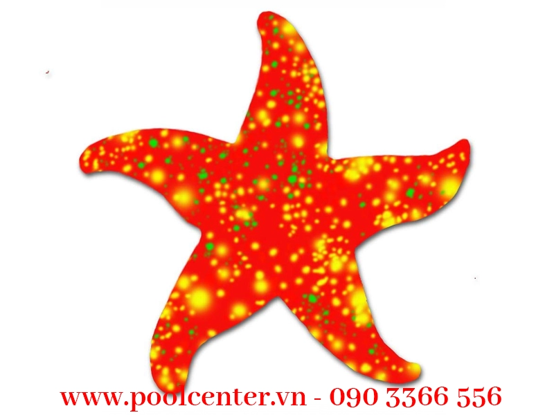 GẠCH MOSAIC SỨ HỒ BƠI HÌNH SAO BIỂN MÀU ĐỎ GẠCH MOSAIC SỨ HỒ BƠI HÌNH SAO BIỂN MÀU ĐỎ - Ảnh 2