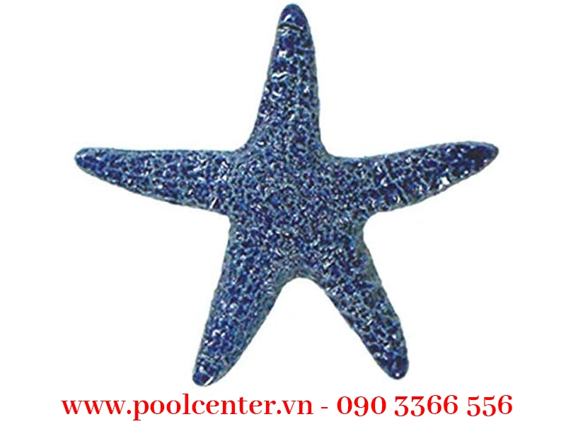 GẠCH MOSAIC HỒ BƠI HÌNH SAO BIỂN MÀU XANH DƯƠNG ĐẸP GẠCH MOSAIC HỒ BƠI HÌNH SAO BIỂN MÀU XANH DƯƠNG ĐẸP - Ảnh 3