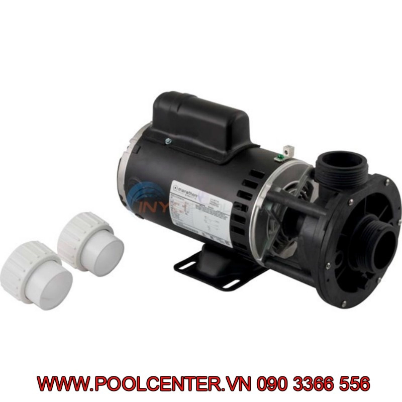 MÁY BƠM NƯỚC HỒ BƠI HIỆN ĐẠI AQUAFLO GECKO 1.5HP XẢ TRUNG TÂM MÁY BƠM NƯỚC HỒ BƠI HIỆN ĐẠI AQUAFLO GECKO 1.5HP XẢ TRUNG TÂM - Ảnh 3