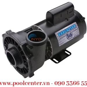 Alternative view of MÁY BƠM NƯỚC HỒ BƠI CAO CẤP WATERWAY 56 DÒNG 2 HP