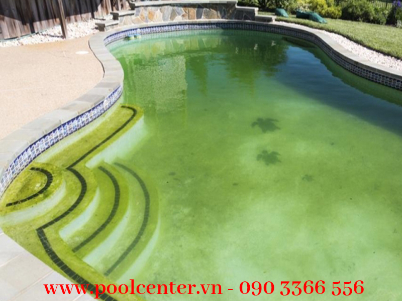 HÓA CHẤT XỬ LÝ NƯỚC HỒ BƠI STABILIZED CHLORINE - SDIC 56% hóa chất xử lí nước hồ Bơi, phân phối hóa chất hồ bơi, hóa chất xử lí bể bơi, báo giá hóa chất hồ bơi, hướng dẫn sử dụng hóa chất hồ bơi, mua hóa chất hồ bơi tại tphcm, cong ty cũng cấp hóa chất hồ bơi,hóa chất hồ bơi chính hãng, hóa chất xử lí nước hồ bơi giá rẻ, hóa chất xử lí nước bể bơi cao cấp