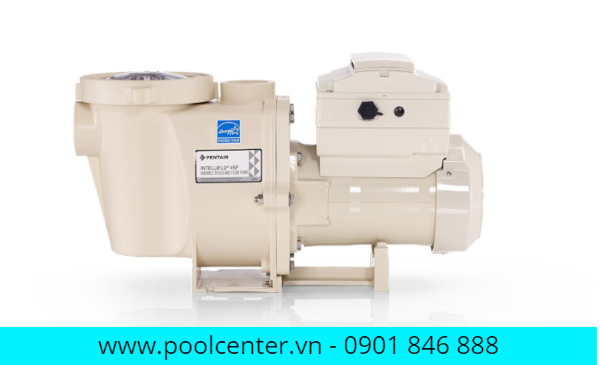 MÁY BƠM HỒ BƠI Whisperflo 0.75HP máy bơm hồ bơi, máy bơm bể bơi, bơm bể bơi, máy bơm bể bơi mini, bơm hồ bơi, máy bơm lọc bể bơi, máy bơm nước hồ bơi, may bom ho boi, bơm lọc nước hồ bơi, máy bơm nước bể bơi, máy bơm nhiệt, bể bơi máy bơm, máy bơm hơi hồ bơi, bơm lọc hồ bơi