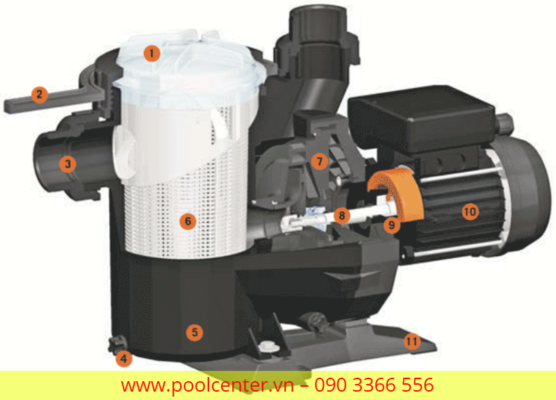 Nơi bán máy bơm nước hồ bơi cao cấp, Lắp đặt máy bơm hồ bơi giá rẻ, Phân phối máy bơm nước hồ bơi giá rẻ, Máy bơm nước hồ bơi nhập khẩu chính hãng, Đánh giá máy bơm hồ bơi cao cấp, Công ty kinh doanh máy bơm hồ bơi giá sỉ, Chỗ bán máy bơm nước hồ bơi cao cấp tại tp.hcm, Hướng dẫn lắp đặt máy bơm nước hồ bơi, Cách ráp máy bơm nước hồ bơi chính hãng, Giá sỉ máy bơm bể bơi ở hcm, Tư vấn hệ thống máy bơm nước hồ bơi cao cấp, Máy bơm nước hồ bơi nhà biệt thự, Hỗ trợ gắn máy bơm nước bể bơi tại nhà