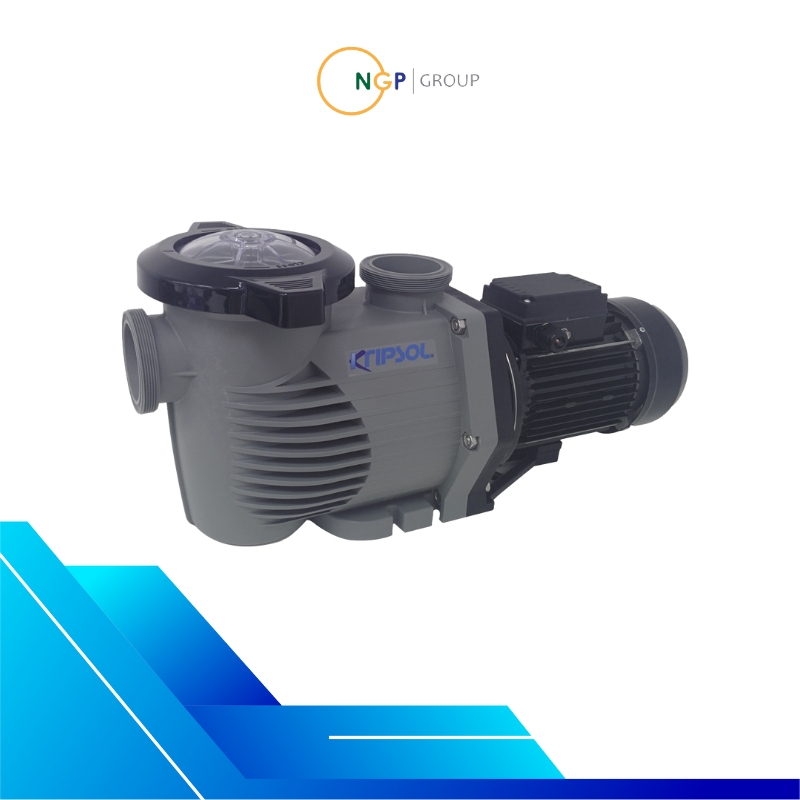 Máy Bơm Hồ Bơi Prime Kpr 3 Hp, 1 Pha Máy Bơm Hồ Bơi Prime Kpr 3 Hp, 1 Pha