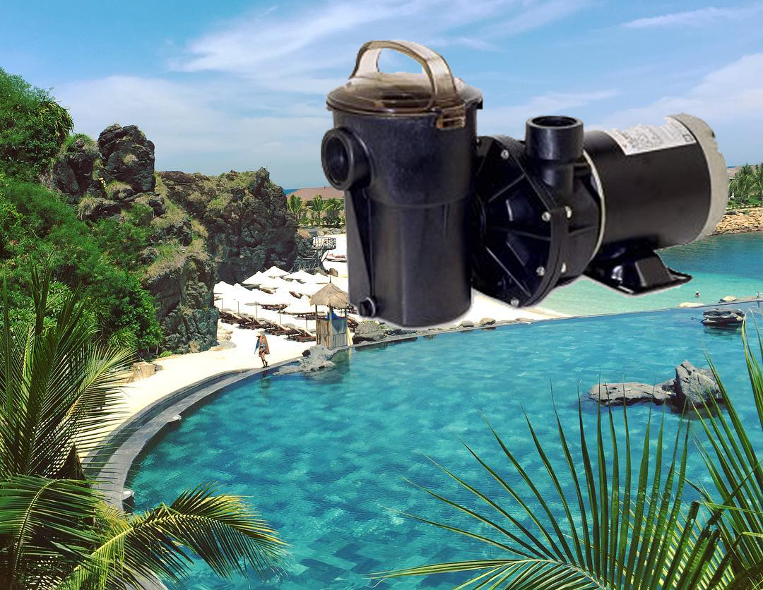 MÁY BƠM HỒ BƠI THÔNG MINH POWERFLO LX 1HP - 115V Nơi bán máy bơm nước hồ bơi cao cấp, Lắp đặt máy bơm hồ bơi giá rẻ, Phân phối máy bơm nước hồ bơi giá rẻ, Máy bơm nước hồ bơi nhập khẩu chính hãng, Đánh giá máy bơm hồ bơi cao cấp, Công ty kinh doanh máy bơm hồ bơi giá sỉ, Chỗ bán máy bơm nước hồ bơi cao cấp tại tp.hcm, Hướng dẫn lắp đặt máy bơm nước hồ bơi, Cách ráp máy bơm nước hồ bơi chính hãng, Giá sỉ máy bơm bể bơi ở hcm, Tư vấn hệ thống máy bơm nước hồ bơi cao cấp, Máy bơm nước hồ bơi nhà biệt thự, Hỗ trợ gắn máy bơm nước bể bơi tại nhà.