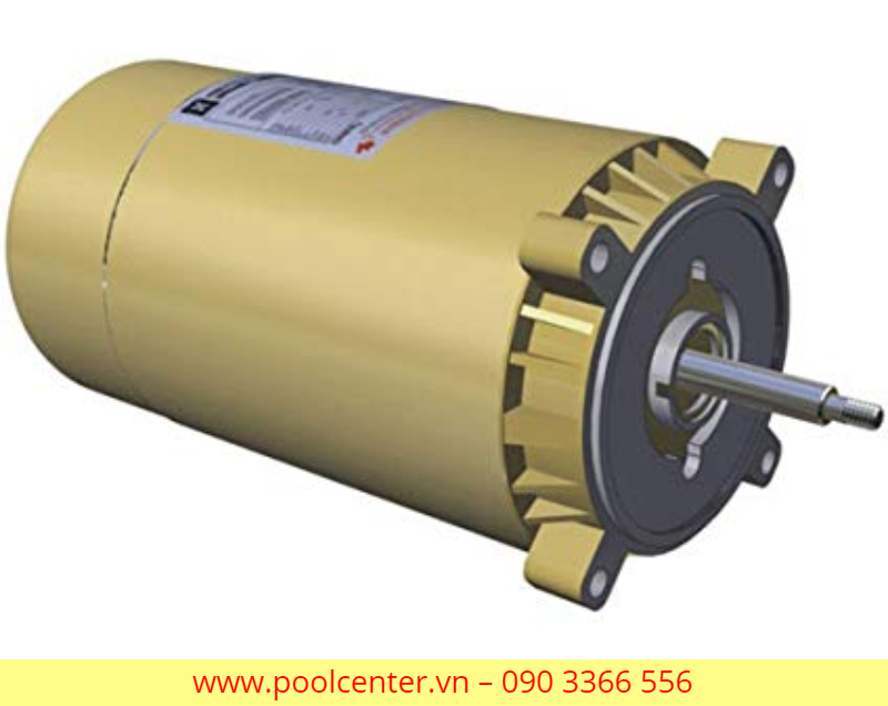 MÁY BƠM NƯỚC HỒ BƠI CAO CẤP HAYWARD SUPER 1 1/2 HP Nơi bán máy bơm nước hồ bơi cao cấp, Lắp đặt máy bơm hồ bơi giá rẻ, Phân phối máy bơm nước hồ bơi giá rẻ, Máy bơm nước hồ bơi nhập khẩu chính hãng, Đánh giá máy bơm hồ bơi cao cấp, Công ty kinh doanh máy bơm hồ bơi giá sỉ, Chỗ bán máy bơm nước hồ bơi cao cấp tại tp.hcm, Hướng dẫn lắp đặt máy bơm nước hồ bơi, Cách ráp máy bơm nước hồ bơi chính hãng, Giá sỉ máy bơm bể bơi ở hcm, Tư vấn hệ thống máy bơm nước hồ bơi cao cấp, Máy bơm nước hồ bơi nhà biệt thự, Hỗ trợ gắn máy bơm nước bể bơi tại nhà