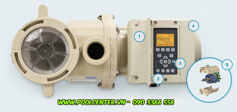 Máy bơm hồ bơi cao cấp Pentair Intelliflo FX Nơi bán máy bơm nước hồ bơi cao cấp, Lắp đặt máy bơm hồ bơi giá rẻ, Phân phối máy bơm nước hồ bơi giá rẻ, Máy bơm nước hồ bơi nhập khẩu chính hãng, Đánh giá máy bơm hồ bơi cao cấp, Công ty kinh doanh máy bơm hồ bơi giá sỉ, Chỗ bán máy bơm nước hồ bơi cao cấp tại tp.hcm, Hướng dẫn lắp đặt máy bơm nước hồ bơi, Cách ráp máy bơm nước hồ bơi chính hãng