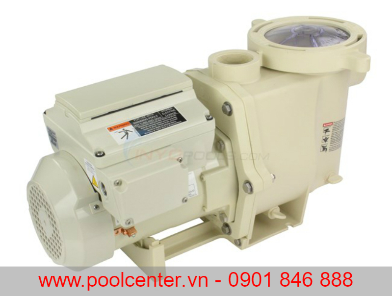 MÁY BƠM NƯỚC HỒ BƠI NHẬP KHẨU CHÍNH HÃNG WHISPERFLO 3HP 3PHA Máy bơm nước hồ bơi, Chuyên cung cấp máy bơm hồ bơi, Nhập khẩu máy bơm hồ bơi tại TP.HCM, Phân phối máy bơm hồ bơi chính hãng, Chuyên phân phối máy bơm hồ bơi tại tp.hcm, Tư vấn lắp đặt máy bơm hồ bơi, Hướng dẫn lắp đặt máy bơm hồ bơi chuyên nghiệp, Lưu ý khi mua máy bơm hồ bơi, Đánh giá máy bơm hồ bơi ngoại nhập, Máy bơm bể bơi giá rẻ, nơi bán máy bơm bể bơi
