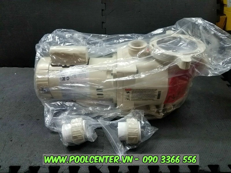 MÁY BƠM NƯỚC BỂ BƠI SUPERFLO 3/4 HP MÁY BƠM NƯỚC BỂ BƠI SUPERFLO 3/4 HP - Ảnh 3