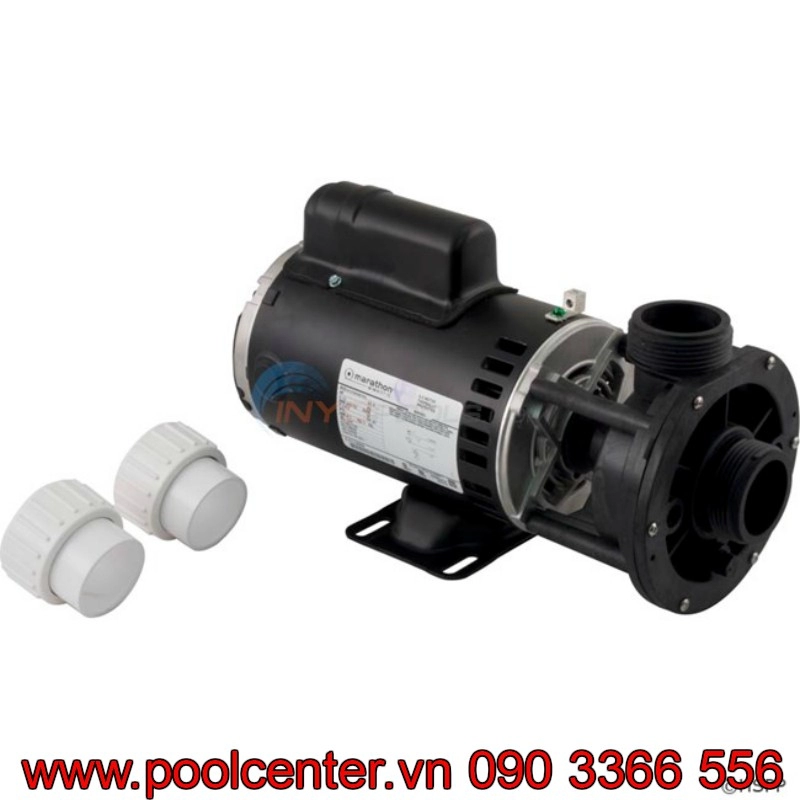 MÁY BƠM NƯỚC HỒ BƠI CHUYÊN DỤNG AQUAFLO GECKO ALLIANCE FMCP 1.5HP XẢ TRUNG TÂM MÁY BƠM NƯỚC HỒ BƠI CHUYÊN DỤNG AQUAFLO GECKO ALLIANCE FMCP 1.5HP XẢ TRUNG TÂM - Ảnh 4