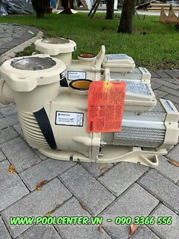 Máy bơm tiết kiệm năng lượng PENTAIR 022018 WHISPERFLO XF 3HP Máy bơm tiết kiệm năng lượng PENTAIR 022018 WHISPERFLO XF 3HP - Ảnh 2