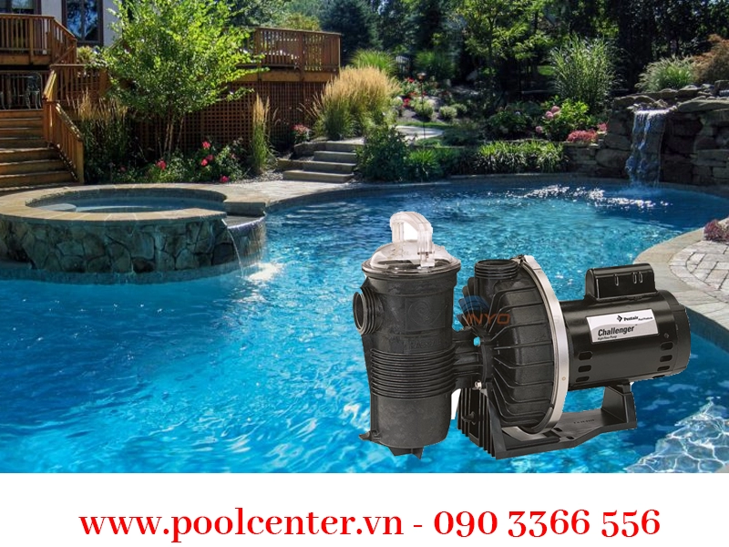 MÁY BƠM HỒ BƠI PENTAIR CHALLENGER CH 1/2 HP CAO CẤP MÁY BƠM HỒ BƠI PENTAIR CHALLENGER CH 1/2 HP CAO CẤP - Ảnh 3