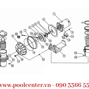 Alternative view of MÁY BƠM NƯỚC BỂ BƠI CAO CẤP PENTAIR CHALLENGER CF 3/4 HP