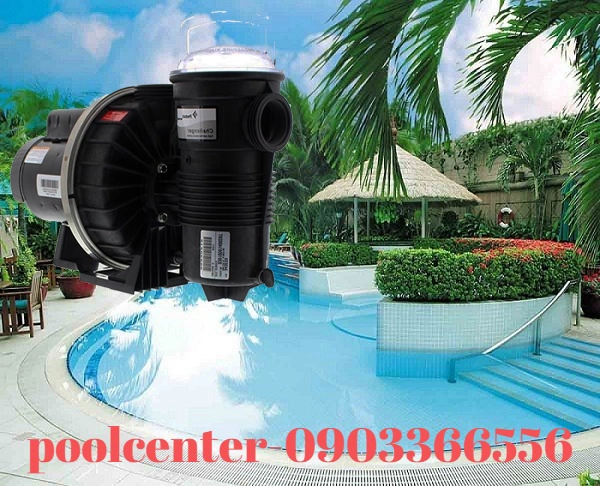 MÁY BƠM HỒ BƠI FR PENTAIR CHALLENGER TIẾT KIỆM NĂNG LƯỢNG MÁY BƠM HỒ BƠI FR PENTAIR CHALLENGER TIẾT KIỆM NĂNG LƯỢNG - Ảnh 4