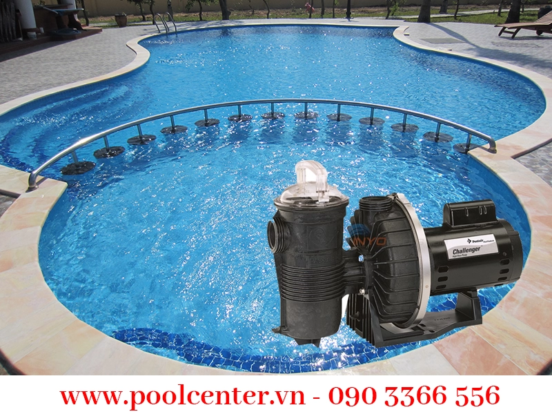 MÁY BƠM BỂ BƠI CHUYÊN DỤNG PENTAIR CHALLENGER CH 1 HP 115/230V MÁY BƠM BỂ BƠI CHUYÊN DỤNG PENTAIR CHALLENGER CH 1 HP 115/230V - Ảnh 3