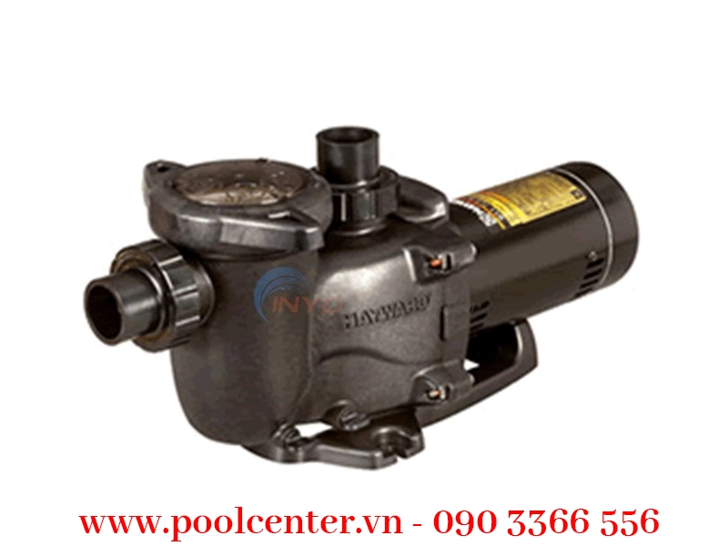 MÁY BƠM NƯỚC HỒ BƠI CAO CẤP HAYWARD MAXFLO XL 2 HP MÁY BƠM NƯỚC HỒ BƠI CAO CẤP HAYWARD MAXFLO XL 2 HP - Ảnh 2