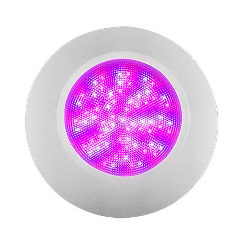 Đèn LED Hồ Bơi Emaux El - Ánh Sáng Đa Màu Tiết Kiệm Điện - Ảnh 2