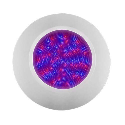 Đèn LED Hồ Bơi Emaux El - Ánh Sáng Đa Màu Tiết Kiệm Điện - Ảnh 3