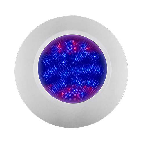 Đèn LED Hồ Bơi Emaux El - Ánh Sáng Đa Màu Tiết Kiệm Điện - Ảnh 4