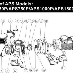 Máy Bơm Hồ Bơi Emaux APS – Model APS550P APS750P APS1000P APS1500P