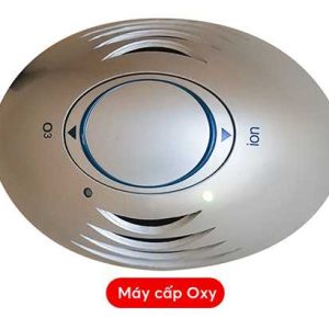 Máy cấp oxy ion hóa không khí phòng spa bể bơi thiết bị xông hơi