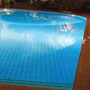 Thiết Bị Hồ Bơi Waterco Capture99 Png Chính Hãng Tiết Kiệm 7%