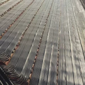 Thiết Bị Hồ Bơi Waterco Chính Hãng Tiết Kiệm Năng Lượng
