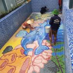 Bàn Chải Hồ Bơi Cán Nhựa - Giải pháp thiết bị hồ bơi gia đình chi phí thấp