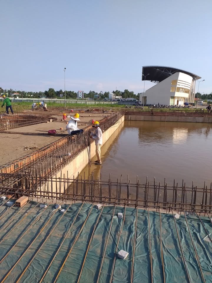Bàn Chải Hồ Bơi Kripsol – Biotech Pool | Vệ Sinh Hồ Bơi Hiệu Quả